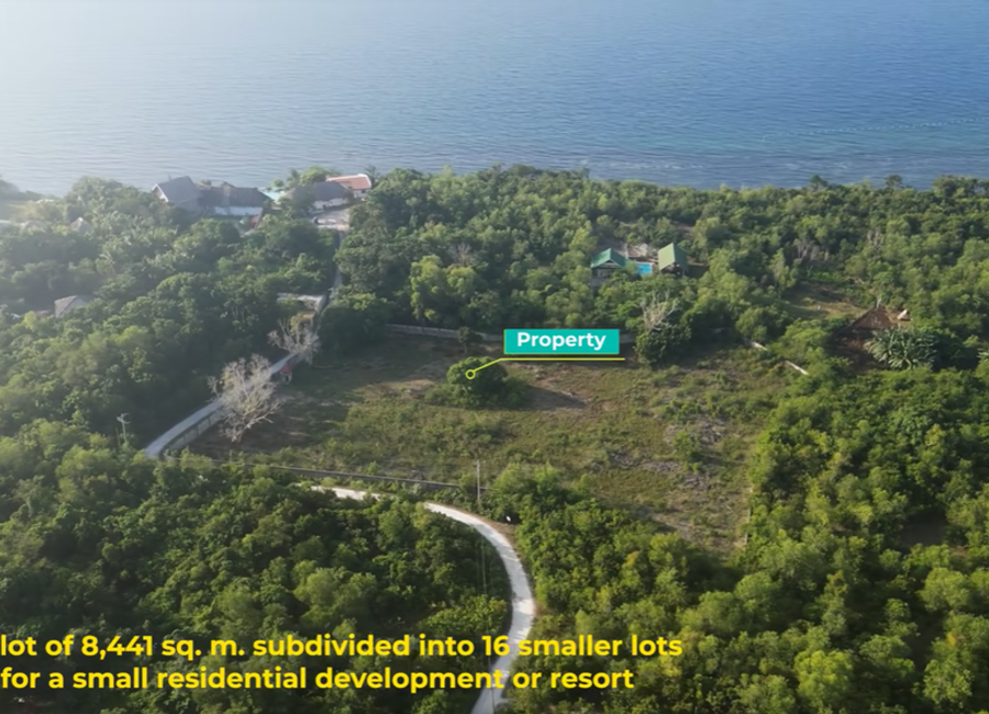 place photo 4