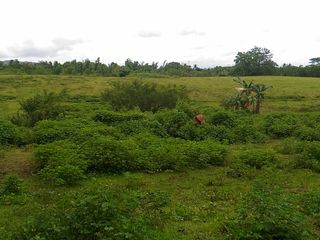 Commercial Lot for Sale along Governor's Drive in Naic, Cavite - 6.5 Hectares