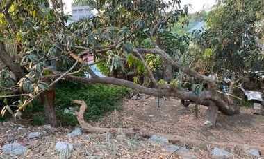 RESIDENTIAL/COMMERCIAL LOT FOR SALE (NEGOTIABLE) QUEZON CITY