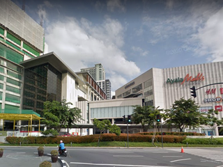 Makati lot for sale Ayala Circuit area