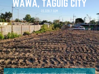 Taguig Vacant Lot