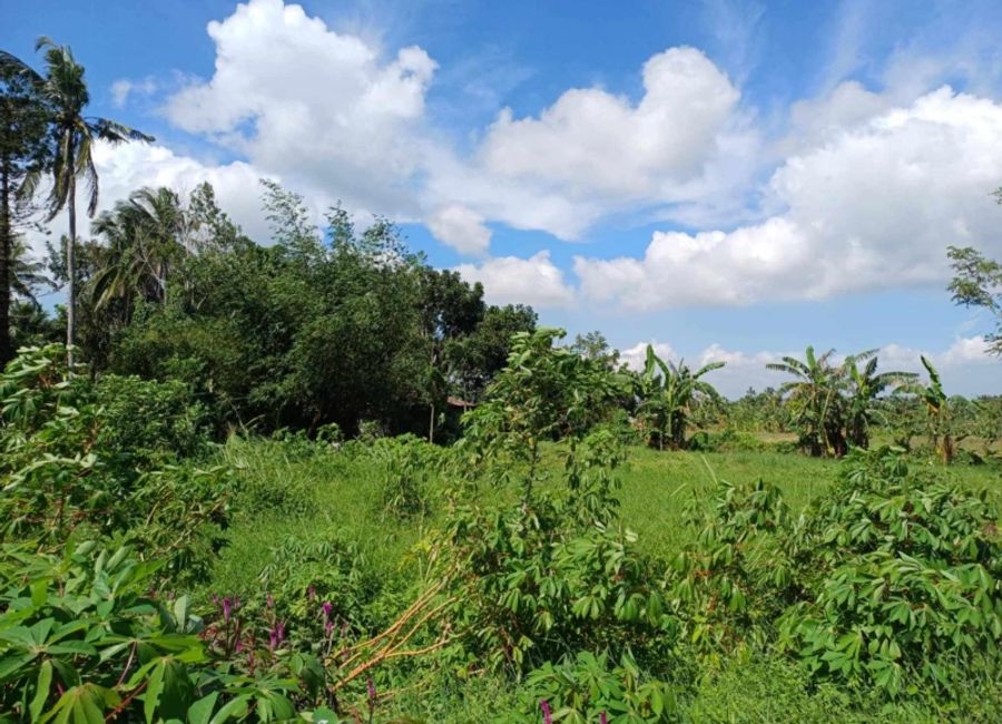 San Fernando, Luta Del Sur, Malvar, Batangas image 2