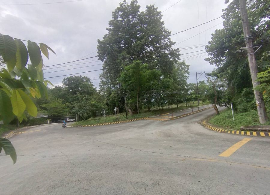 Crown Alley, Dela Paz, Antipolo, Rizal image 3