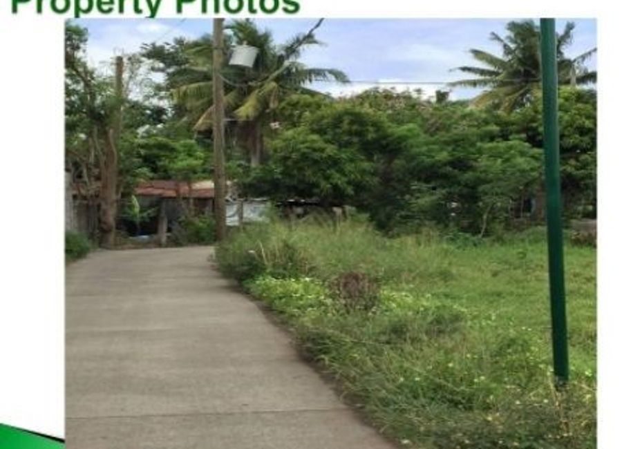 Pili Drive, Maahas, Los Baños, Laguna image 3