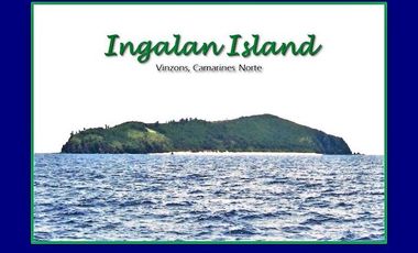 47-Hectare Private Island Paradise For Sale in Vinzons, Camarines Norte