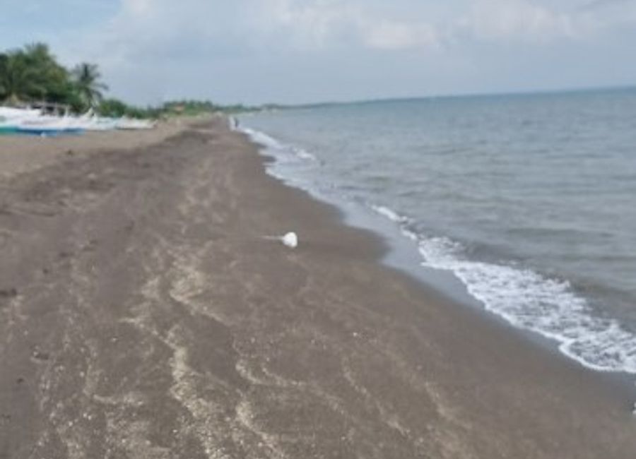 Laiya-Aplaya, San Juan, Batangas