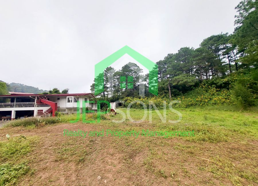 place photo 19
