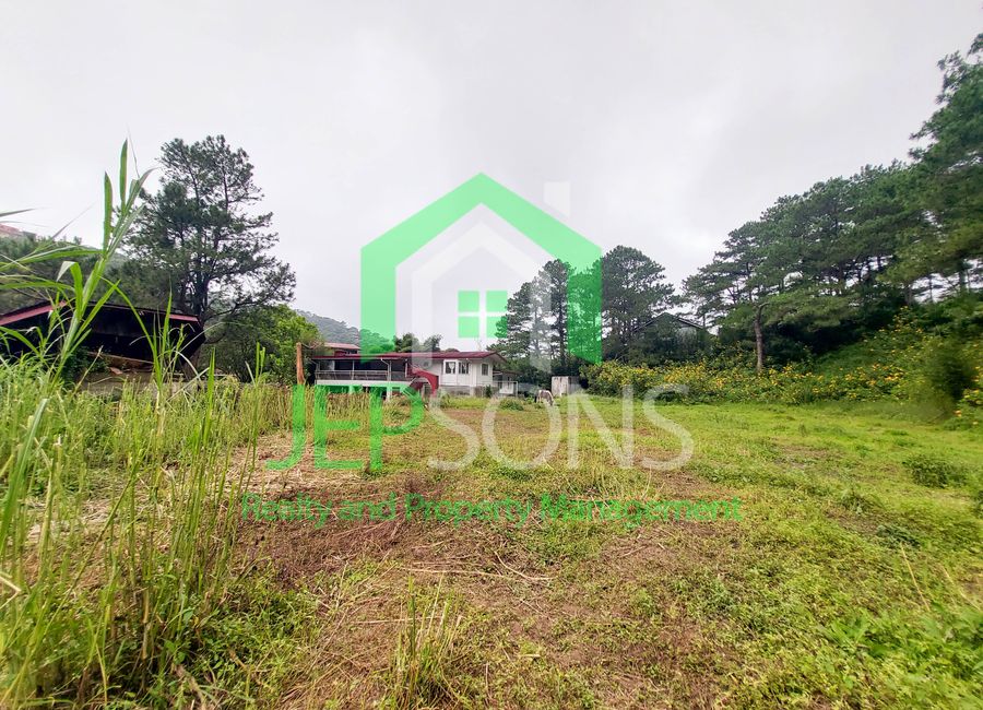 place photo 22
