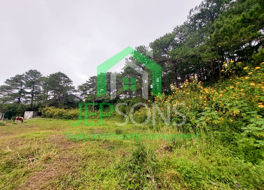 place photo 23
