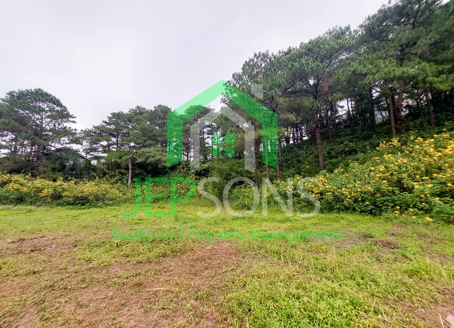 place photo 18