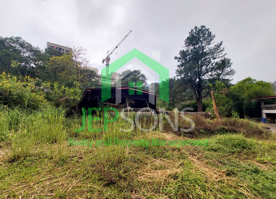 place photo 21