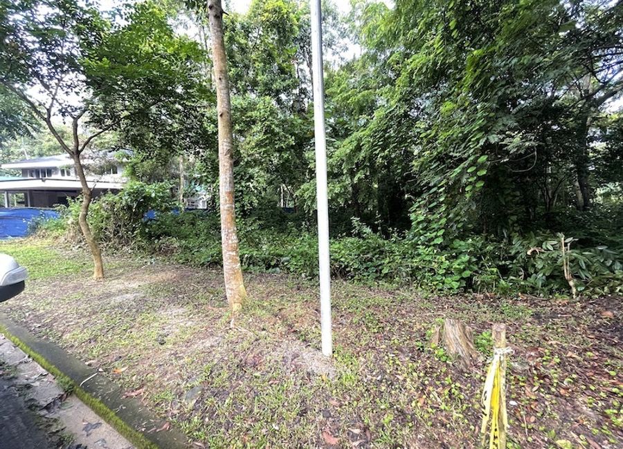 San Roque, Antipolo, Rizal image 3