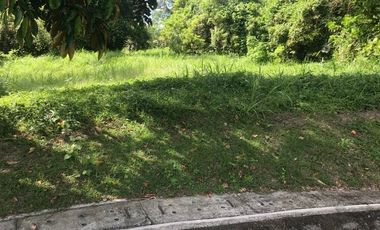 Prime Residential Lot for sale - Leisure Farms, Lemery, Batangas