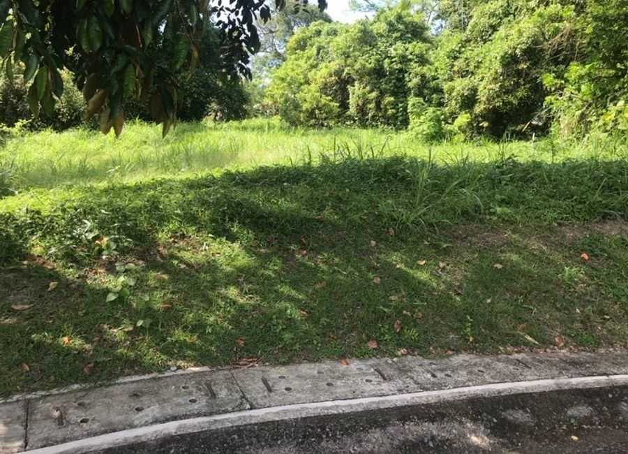 Suha, Leisure Farms, Payapa Ibaba, Lemery, Batangas
