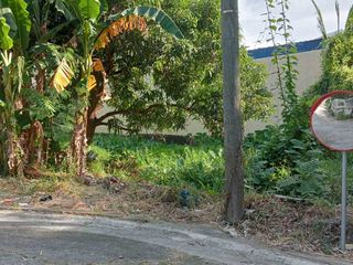 Residential Lot for Sale in Annex 31, Better Living Parañaque City