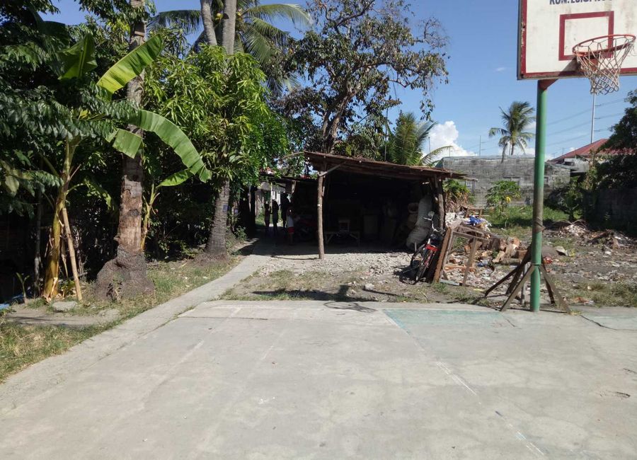 place photo 16