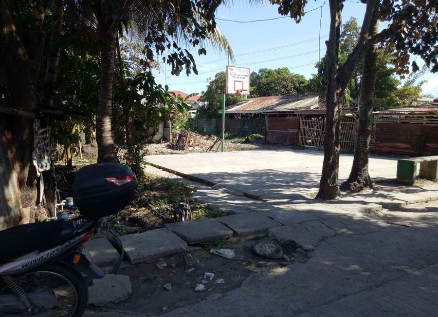 place photo 19
