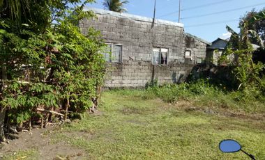 Foreclosed Lot Property - Pasong Camachile, General Trias City, Cavite