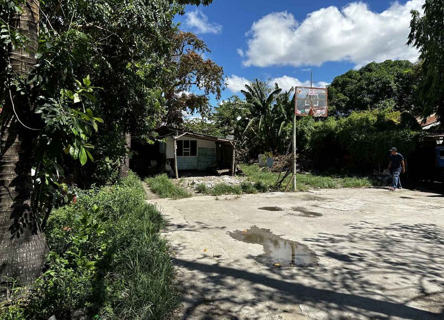 place photo 29