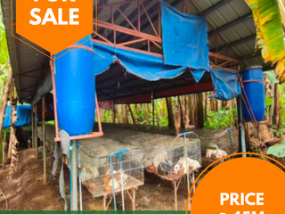 Agricultural Lot for sale in Marahan II, Alfonso, Cavite