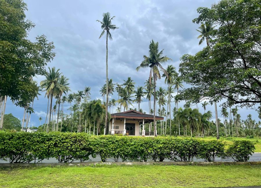 Bulakin, Tiaong, 2nd District, Quezon image 3