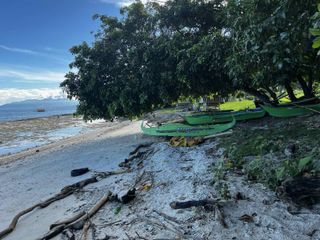 For Sale Beachfront Lot, Catagman Samal Island