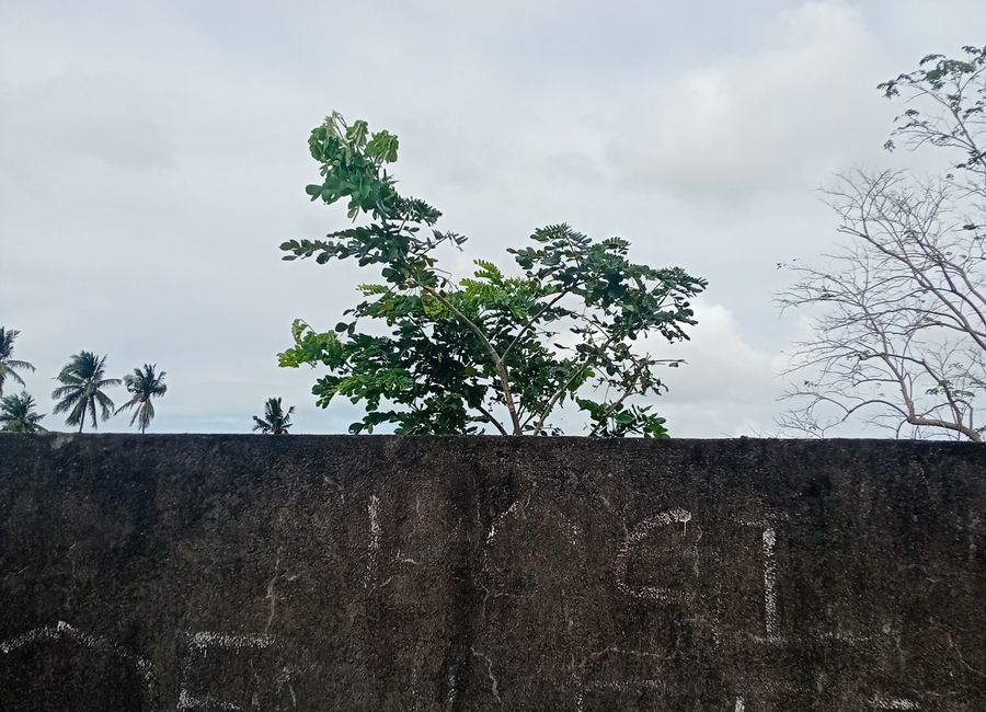 President Jose P. Laurel Highway, Marauoy, Pusil, Lipa, Batangas image 2