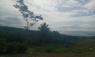 1-Hectare For Sale Farm Lot Overlooking Taal Volcano in Balete, Batangas