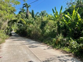 Below Market Value Farmlot in Alfonso, Cavite
