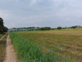 Vacant Land - Brgy Concepcion, San Simon Pampanga 29.555 has or 295,550 sqm