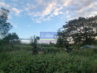 FOR SALE: Industrial Land in Canlubang, Calamba City, Laguna