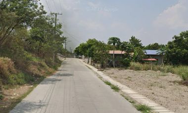 EH-1093: ! For Sale ! 15,787 Sqm Agricultural Lot  located at Maliwalu, Calibutbut