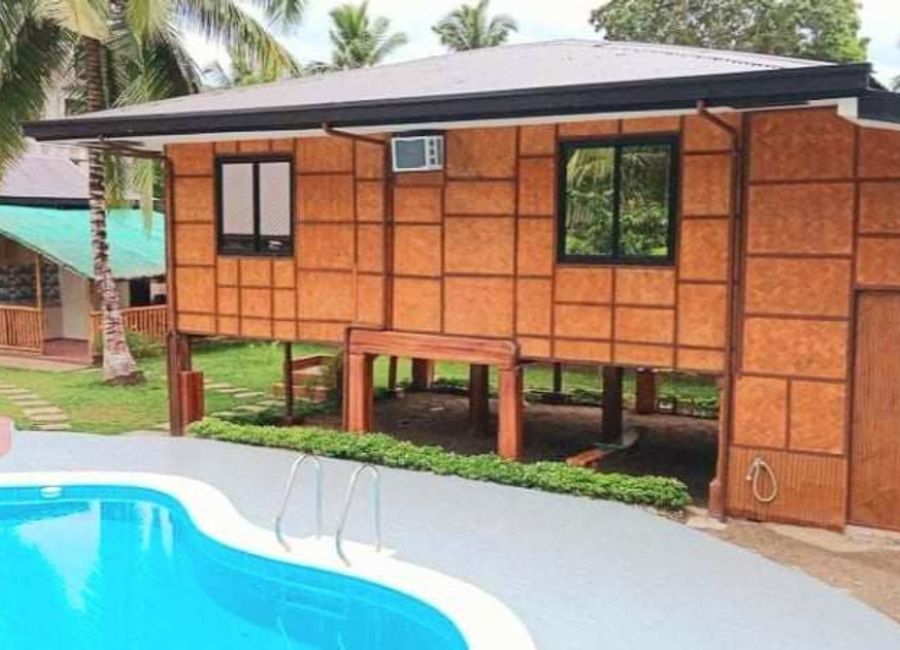 Laiya-Aplaya, San Juan, Batangas image 3
