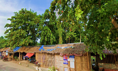 LOT FOR SALE LOCATED AT BANICA, ROXAS CITY