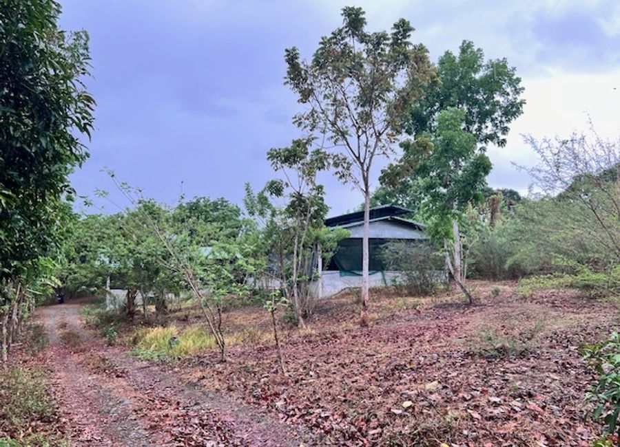 place photo 19