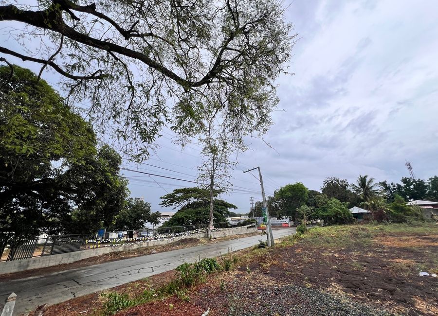 place photo 23