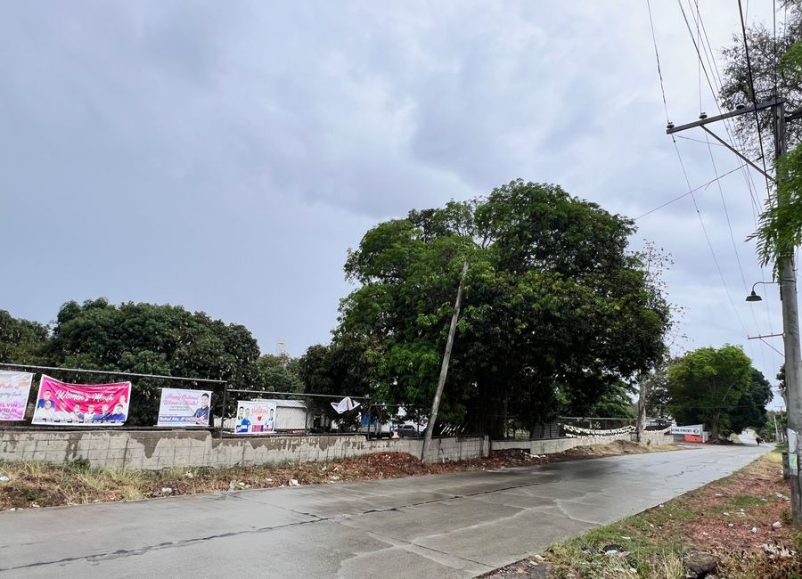 place photo 25