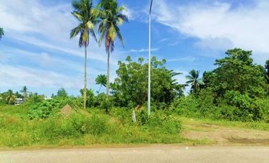 4,820 Sqm Commercial lot for Sale located in New Buswang, Kalibo, Aklan