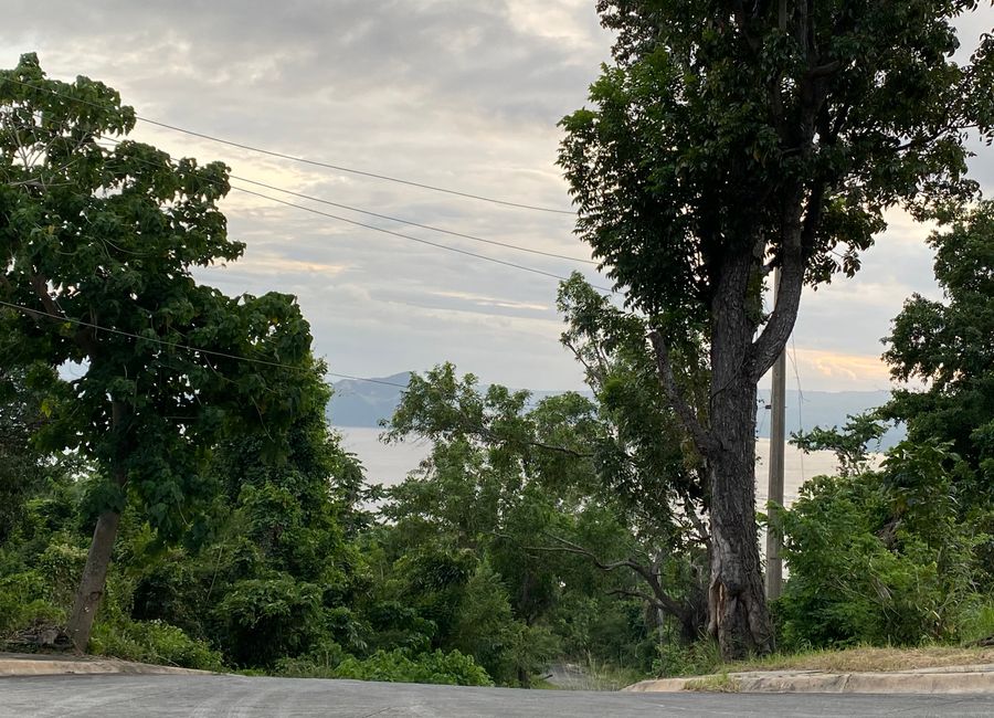 Palmridge Drive, Palmridge Pointe, Buco, San Guillermo, Talisay, Batangas