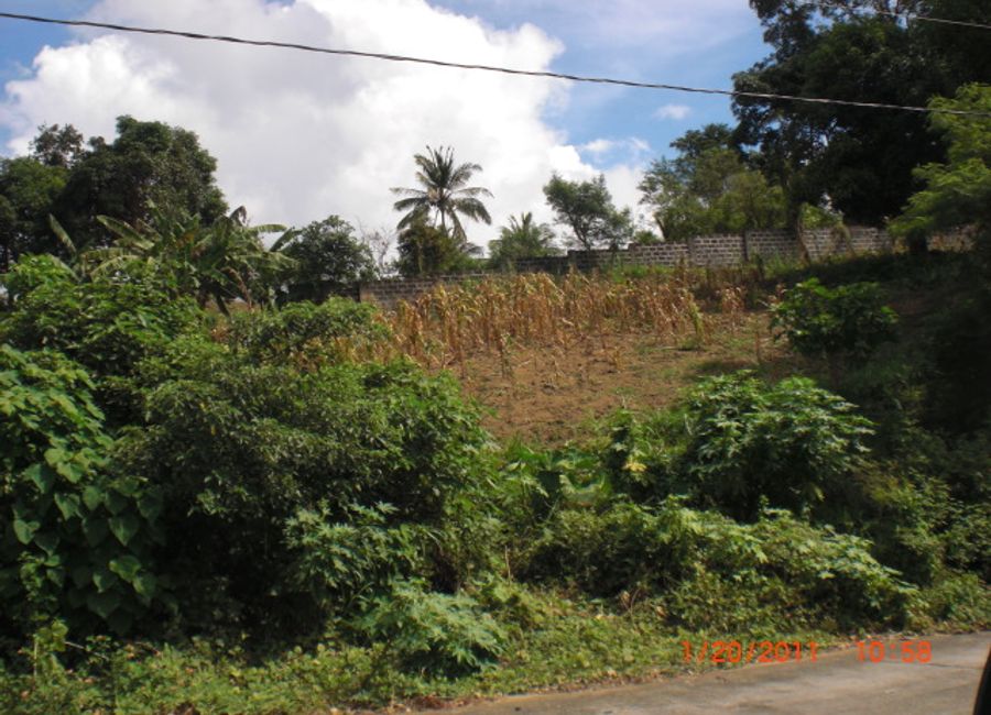 Palmridge Drive, Palmridge Pointe, Buco, San Guillermo, Talisay, Batangas image 2