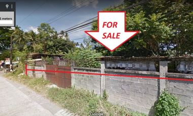 2,103 sqm Lot near Coastline for Sale in Davao City