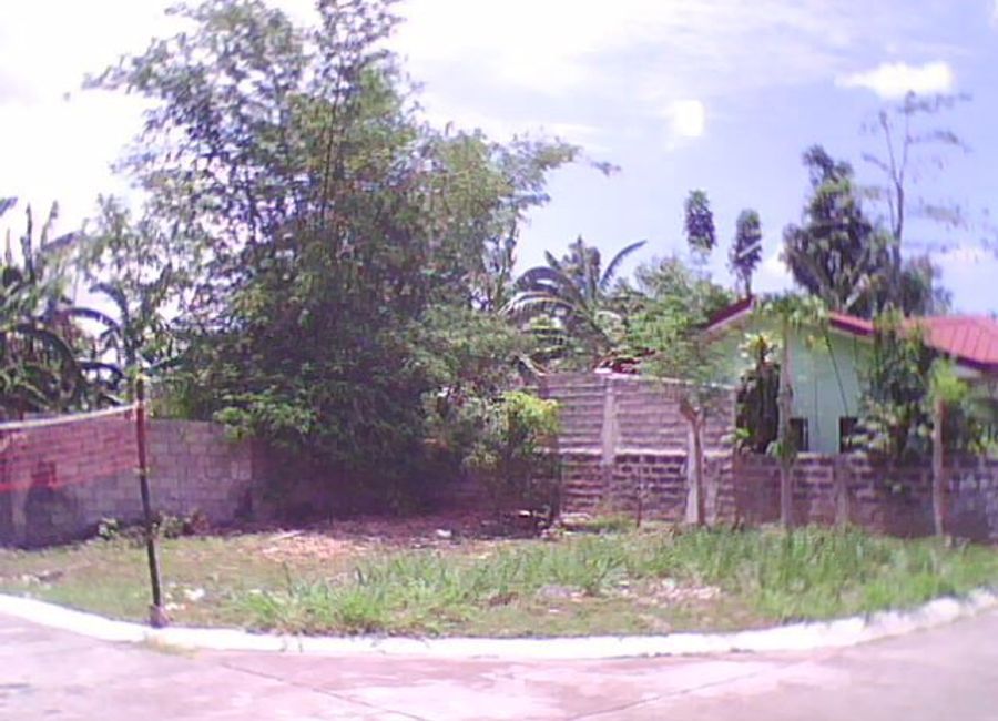 Villa Adelina VI, Mayondon, Los Baños, Laguna image 2