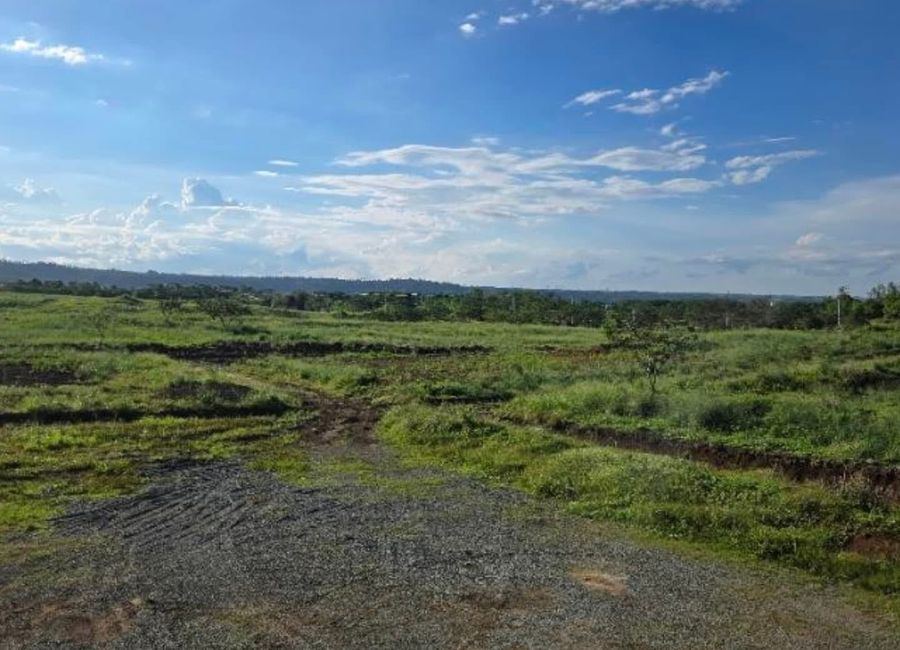 Evoliving Parkway, Avida Village Cerise, Canlubang, Calamba, Laguna