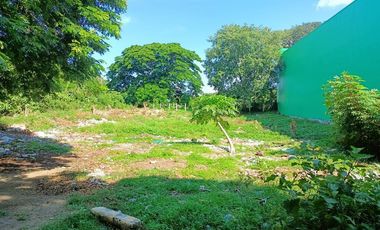 Vacant Lot: Lot 18666A Barrio Road, Cuta, Batangas City - 1,505 sqm. for sale