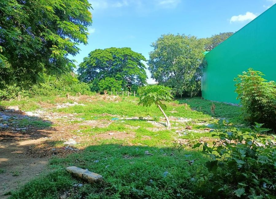 Ilang-ilang Street, Malitam, Malitam, Wawa, Batangas, Batangas