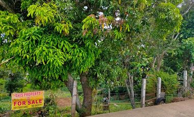 VACANT LOT: Lot 8560 B & C Viado St. Bgy Asisan, Tagaytay City - 922 sqm