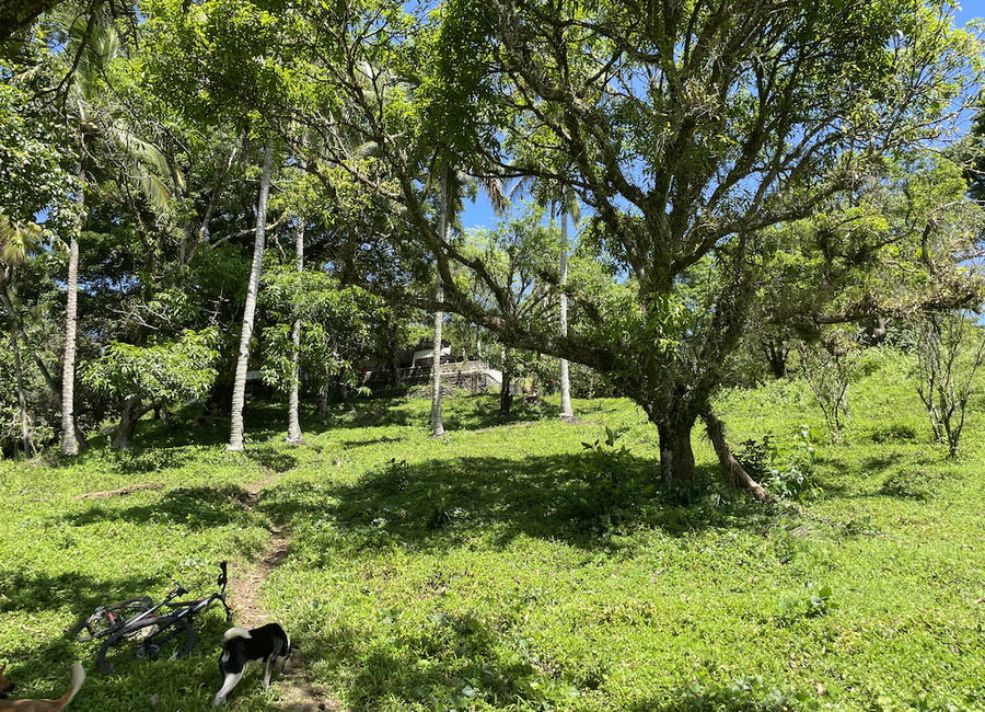 place photo 9