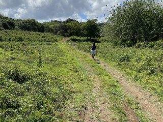 45.6 Hectares Tanay Farm For Sale Narciso Realty