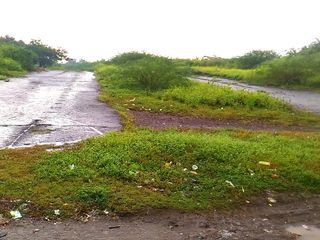 For Sale Vacant Land With Beach front lot Facing Manila Bay Tanza Cavite