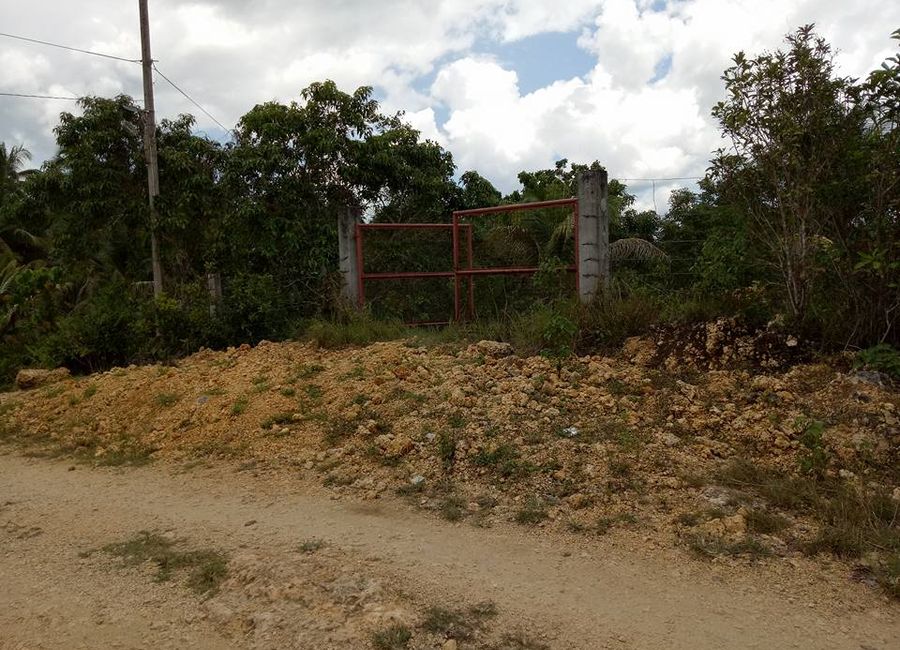 place photo 11